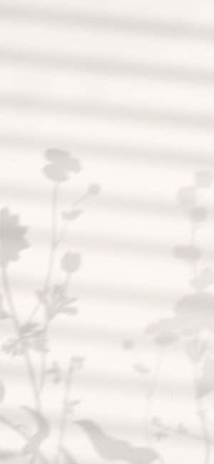 Fondo Minimalista iPhone X — Floral iPhone Fondos de pantalla