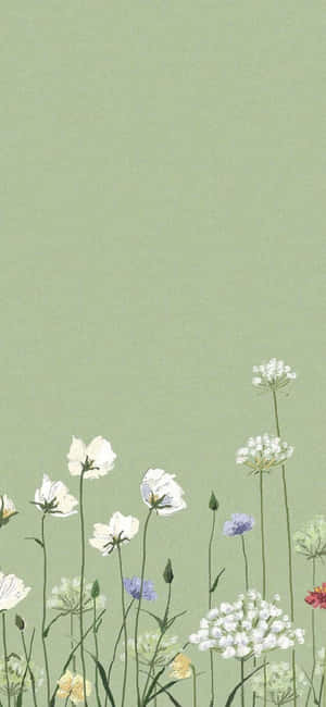 Fondo minimalista para iPhone X — iPhone 16 Pro Fondos de pantalla
