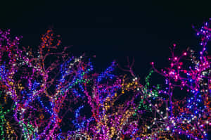 Fondo navideño estético 4928 x 3264 — Navideño aesthetic Fondos de pantalla