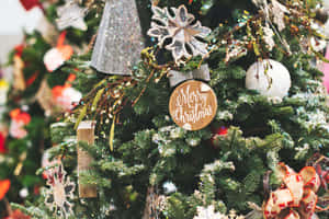 Fondo para fotos navideñas — Navidad escritorio Fondos de pantalla