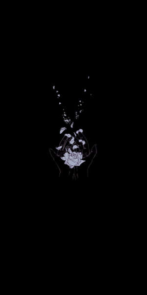 Fondo negro lindo — Lindo negro Fondos de pantalla
