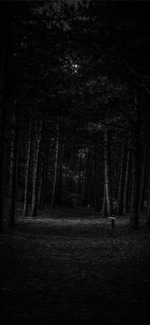 Fondo Oscuro de Bosque Vacío para iPhone — Bosque oscuro Fondos de pantalla