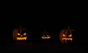 Fondo de calabaza de Halloween — Halloween GIF Fondos de pantalla