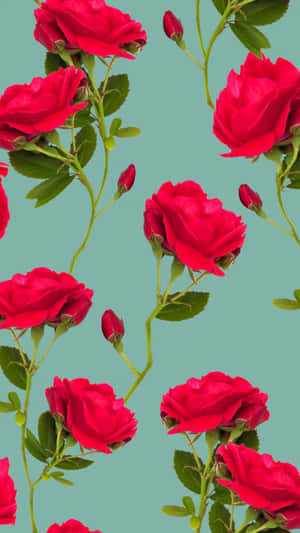 Fondo Patrón Estético Vsco — Estética floral Fondos de pantalla