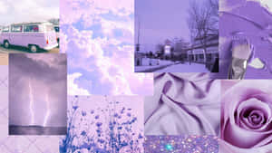 Fondo Púrpura Pastel — Morado pastel Fondos de pantalla