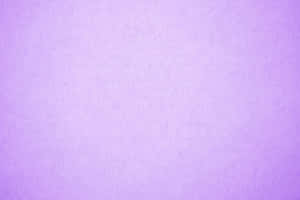 Fondo Púrpura Pastel — Morado pastel Fondos de pantalla
