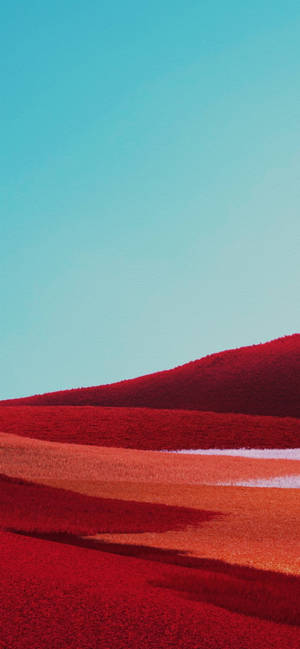Fondo de campo rojo para Google Pixel 4