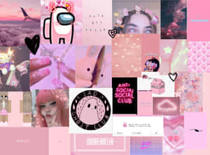 Fondo rosa lindo — Lindo rosa Fondos de pantalla