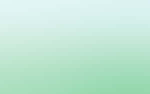 Fondo Verde Pastel — Verde oscuro Fondos de pantalla