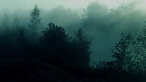 Fondo de bosque oscuro — Bosque brumoso Fondos de pantalla