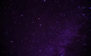 Fondos de pantalla estéticos de color púrpura oscuro — Púrpura oscuro aesthetic Fondos de pantalla
