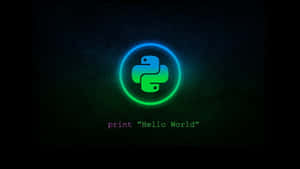 Fondos de pantalla estética verde oscuro — Verde oscuro Fondos de pantalla