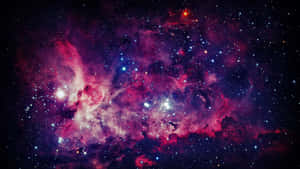 Foto "Hermosos Púrpuras del Cielo"