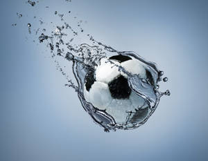 Fondo de escritorio gris de fútbol soccer bajo el agua.