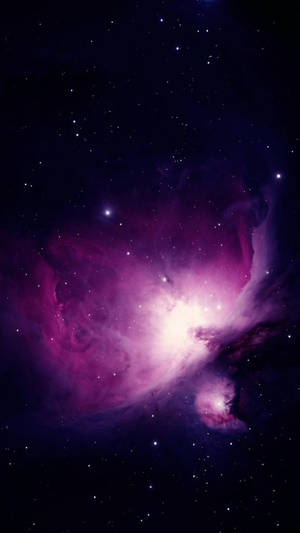 Galaxia Púrpura Velo Negro