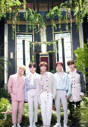nuest — Kpop GIF Fondos de pantalla