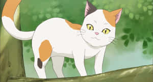 Imágenes de gato anime — Gato anime Fondos de pantalla