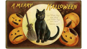 Gato de Bruja de Halloween Vintage — Halloween vintage Fondos de pantalla