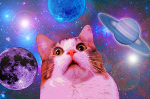 Gato divertido y sorprendido en el espacio