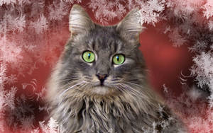 Gato gris con pelaje esponjoso y hocico tierno en un fondo invernal con copos de nieve. Animales durante la Navidad.