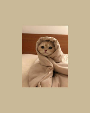 Gato Lindo Envuelto Como un Burrito — Estética beige marrón GIF Fondos de pantalla