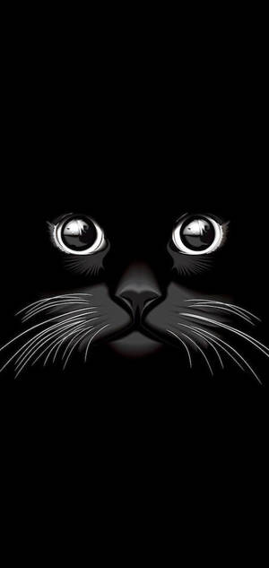 Gato negro genial — Samsung S23 Fondos de pantalla