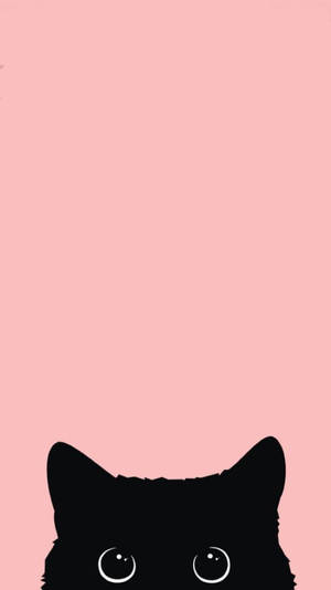Fondo de pantalla iPhone 12 de gato negro — iPhone 12 Fondos de pantalla