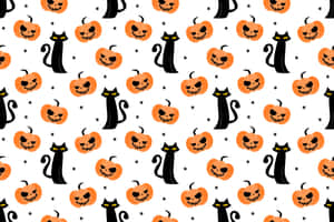 Fotos de Gato Negro — Gato Negro Fondos de pantalla
