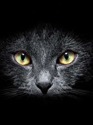 iPad oscuro lindo