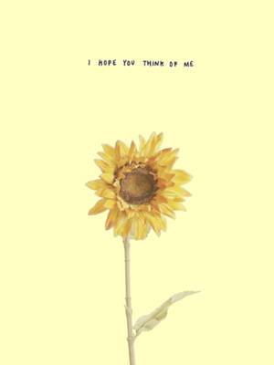 Girasol Estética Amarillo Pastel — Aesthetic amarillo pastel Fondos de pantalla