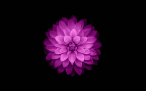 Fondo de pantalla de pensamiento grande sobre fondo negro — Limpio Fondos de pantalla