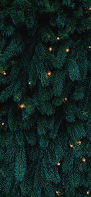 Fondo navideño para iPhone — Honor Power2 Fondos de pantalla