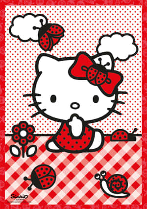 Imágenes de Hello Kitty — Hello kitty GIF Fondos de pantalla
