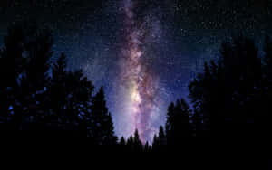 Hermosa galaxia — Bosque oscuro Fondos de pantalla