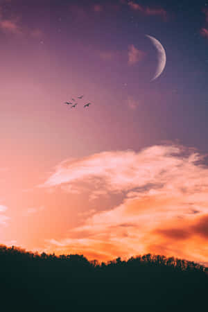 Imágenes hermosas — Cielo al atardecer Fondos de pantalla