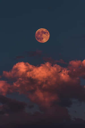 Fondo para iPhone