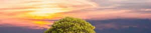 Fondo de naturaleza 4K — Naturaleza 4K Fondos de pantalla