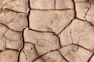 Hermosa Naturaleza Suelo Agrietado
