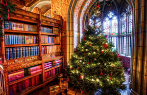 Hermosa Navidad en la Biblioteca — Hermosa Navidad Fondos de pantalla