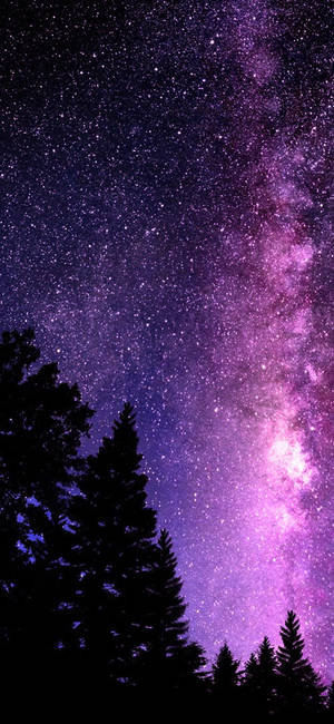 Hermosas Copas de Árboles Galaxia — Galaxy S25 FE Fondos de pantalla