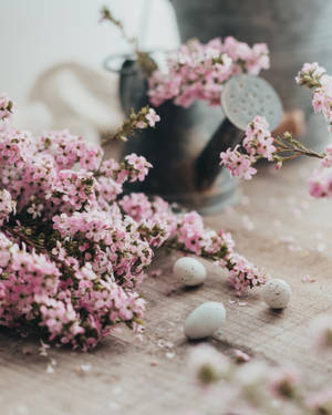 Huevos de codorniz de Pascua blancos con flores de pétalos rosas, fondo de Pascua — 4:5 Fondos de pantalla