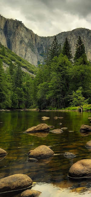 Hermosas imágenes de la naturaleza — Nubia A57 Fondos de pantalla