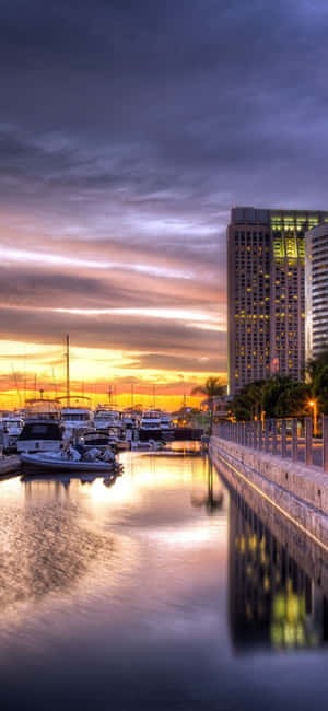 Fondo de pantalla de San Diego para iPhone — Vivo X500 Pro Fondos de pantalla