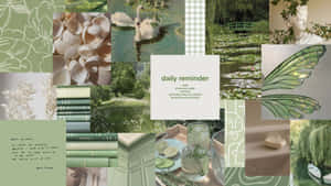 Hermoso collage estético verde salvia — Estética verde GIF Fondos de pantalla