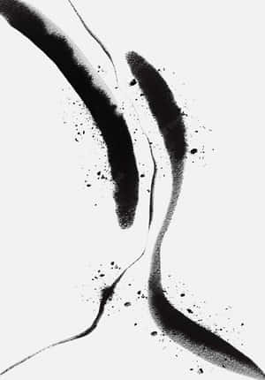 Imágenes estéticas en blanco y negro — Estético blanco y negro Fondos de pantalla