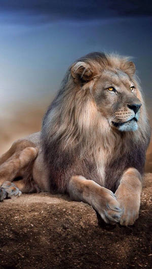 Hermoso León de Cielo Azul para iPhone