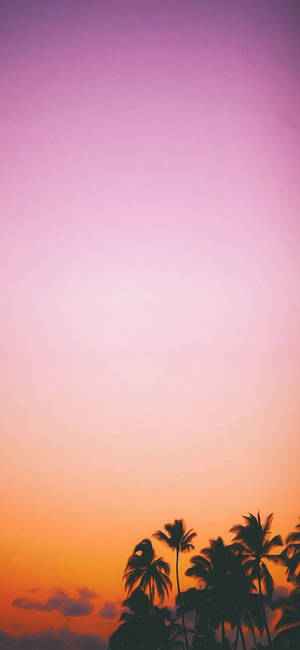 Fondo de pantalla de hermoso paraíso al atardecer para pantalla de inicio