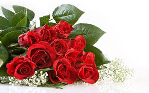 Hermoso ramo de flores de rosas rojas — Flor de rosa Fondos de pantalla