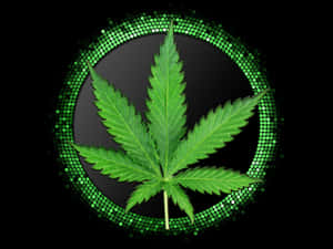 Hoja de Marihuana Rodeada de Círculos Verdes — Estética verde GIF Fondos de pantalla