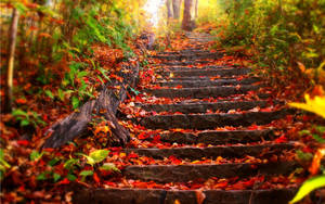 Fondo de otoño de escaleras escénicas cubiertas de hojas de arce rojas.